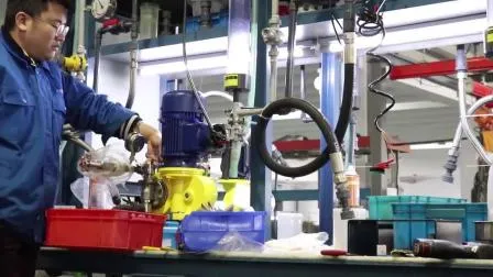 Hydraulic Plunger Mechanical Diaphragm Metering Pumps Pool Acid Chemical Dosing Pump for Water Treatment 