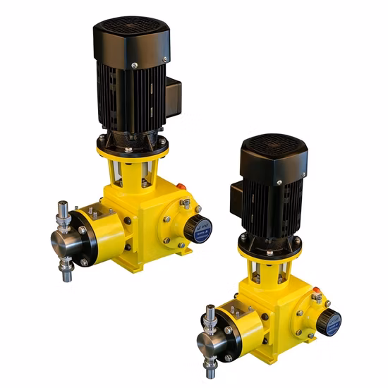 Low Flow Precision Plunger Dosing Pump with PTFE Seal for Antiscalant Injection in RO Water Treatment System 