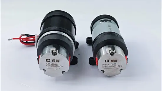 Precision Micro Magnetic Drive Pump for Liquid Transfer Dosing Pump DC Gear Pump for Chemical Machine