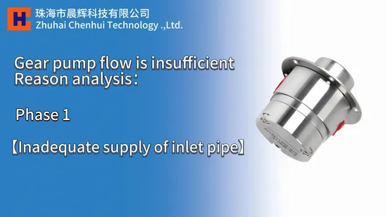 High Pressure Stainless Steel Precision Metering Gear Pump for Diesel Fuel and Chemical Dosing